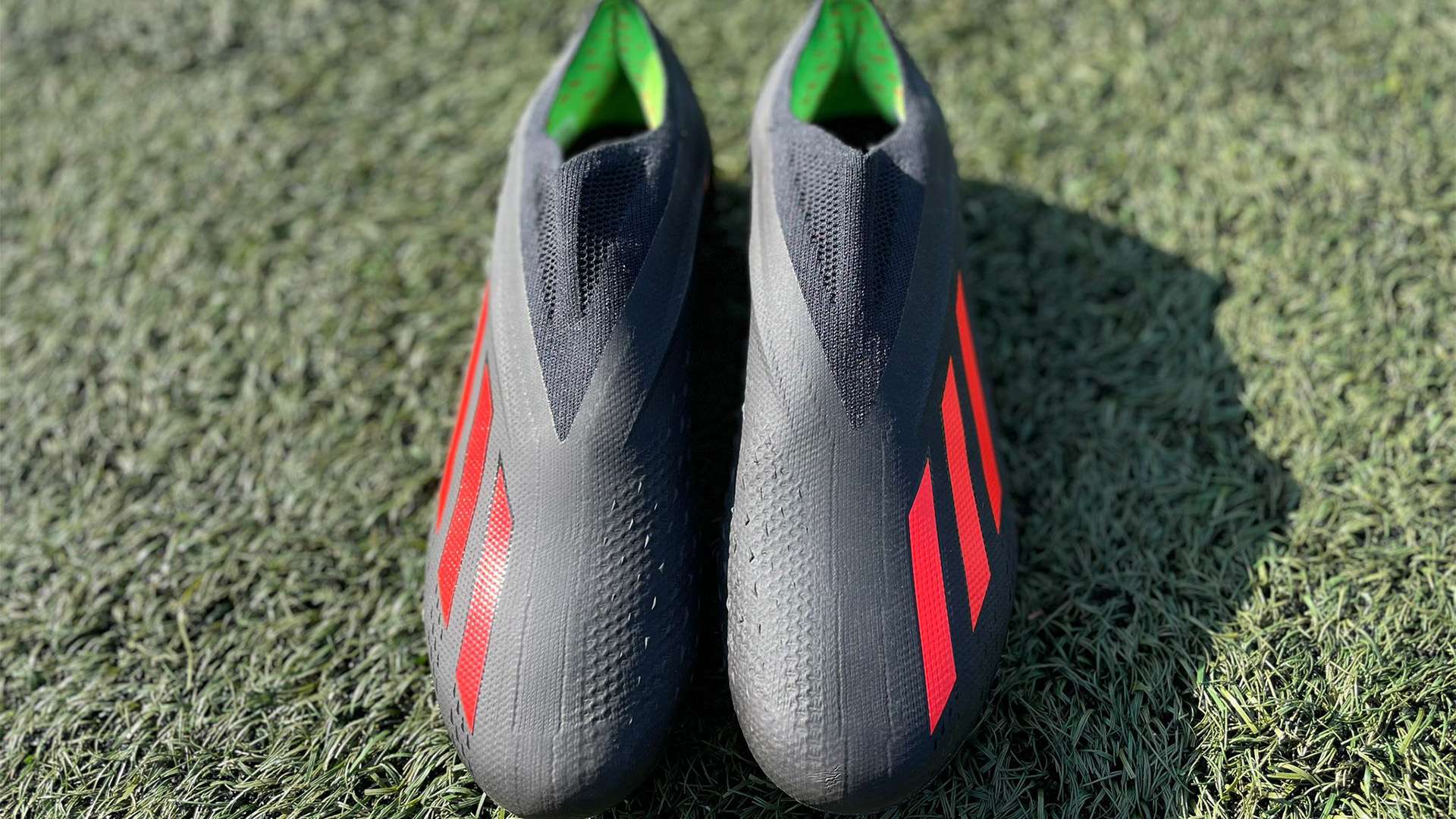 也能见证这 也能见证这