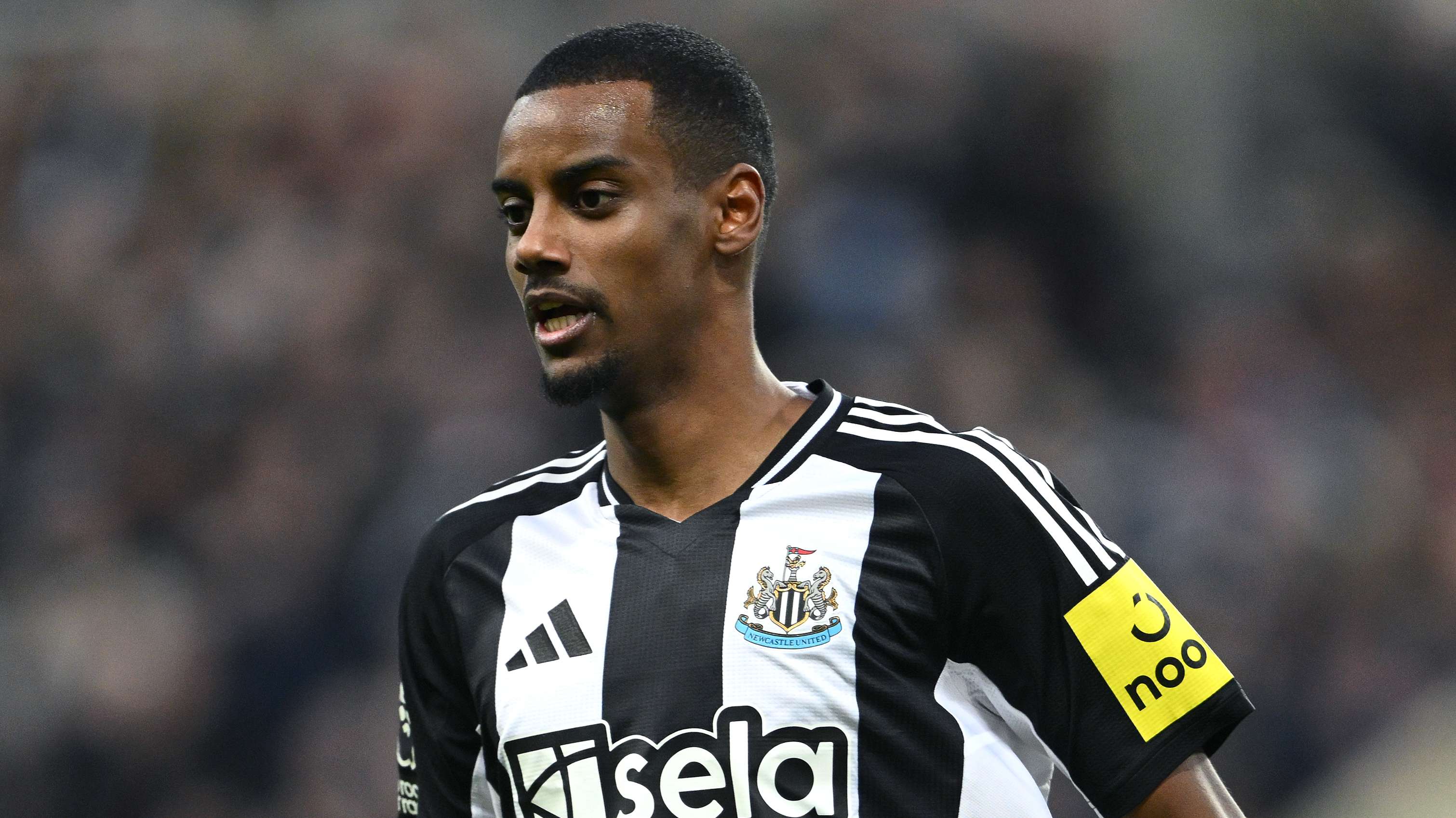 情感联系 情感联系