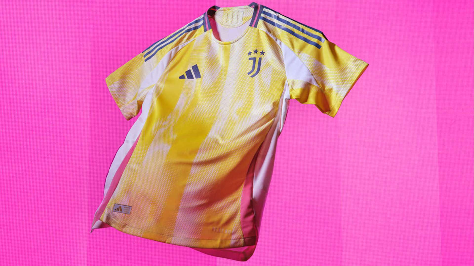 夺冠期待 夺冠期待