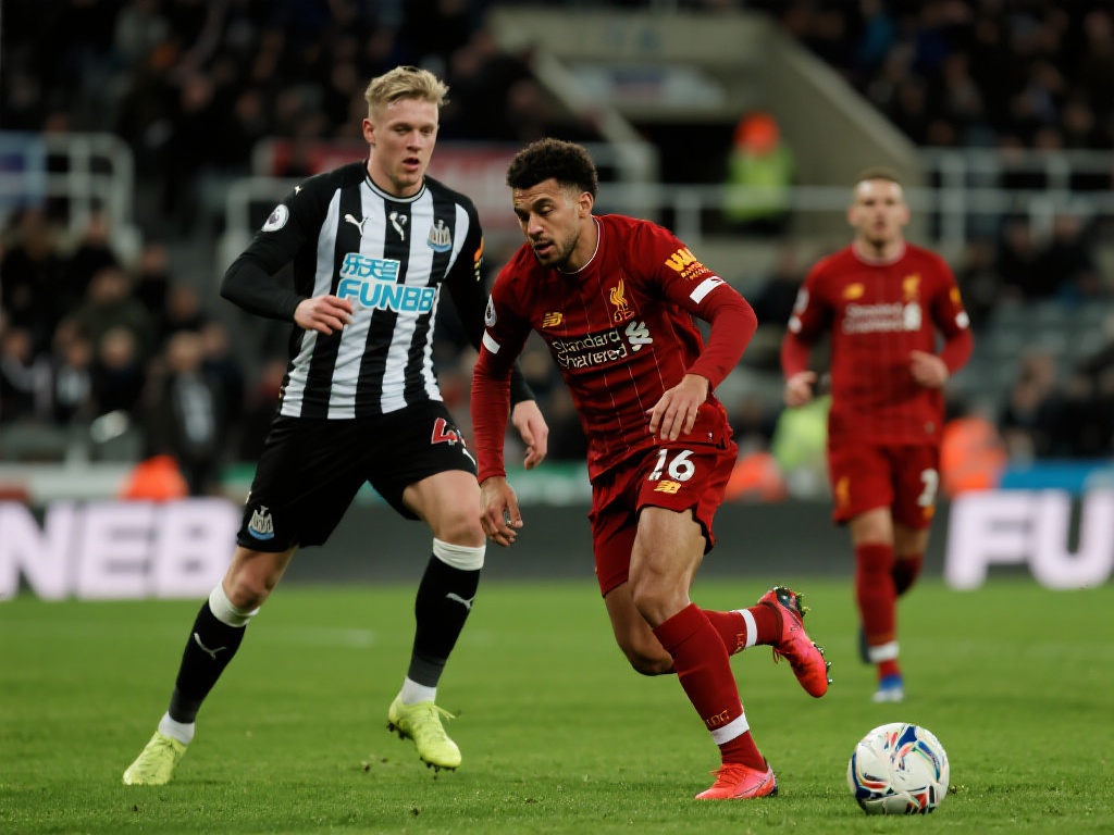 理性利用排 理性利用排